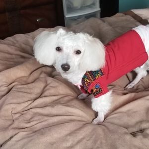 Meet your Posher, Cristobal